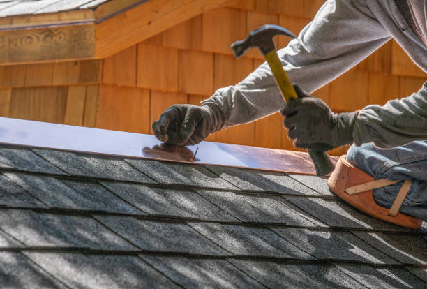 Best Roof Coating and Sealing  in Roanoke, AL