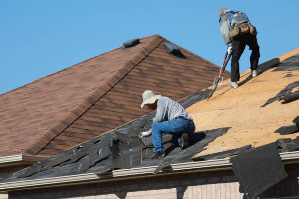Best Solar Panel Roofing Installation  in Roanoke, AL
