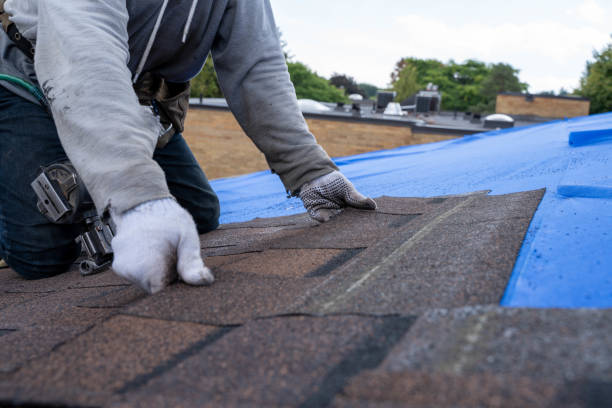 Emergency Roof Repair in Roanoke, AL