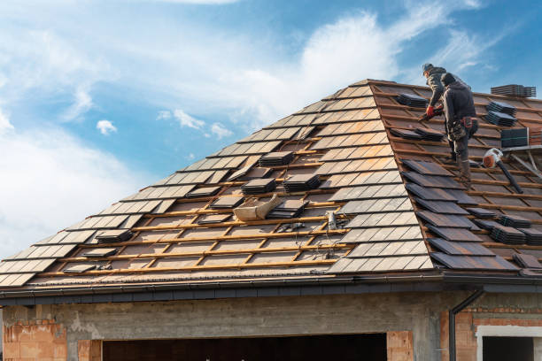 Best Roof Insulation Installation  in Roanoke, AL