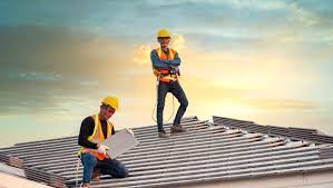 Best Roof Moss and Algae Removal  in Roanoke, AL